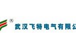 武汉飞特电气有限公司